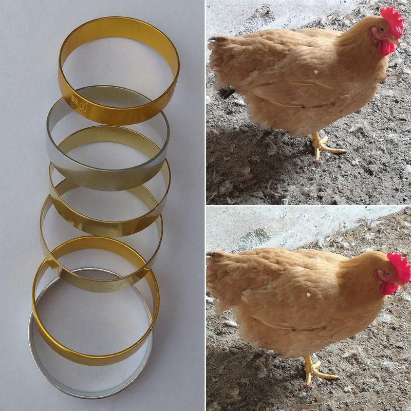 500 Pcs Metal Bird Foot Ring Bands Clip on Leg Rings for Pigeon Dove Chicks Sign