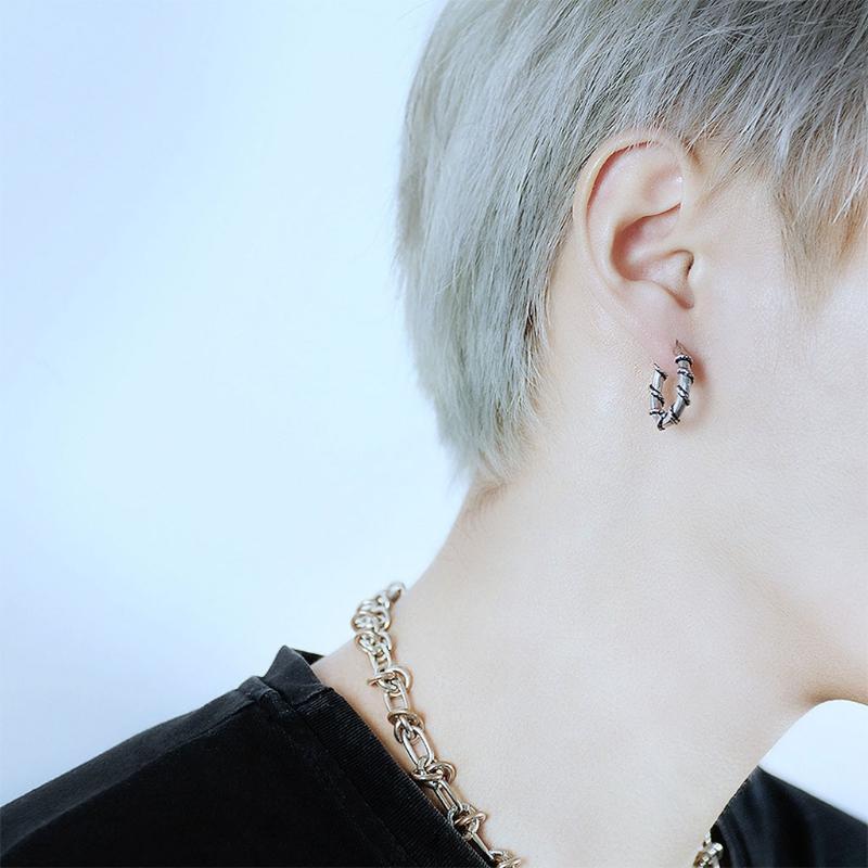 Titanium Steel Twist Hoop Earrings Commute/Dating New Year Fashion Accessories