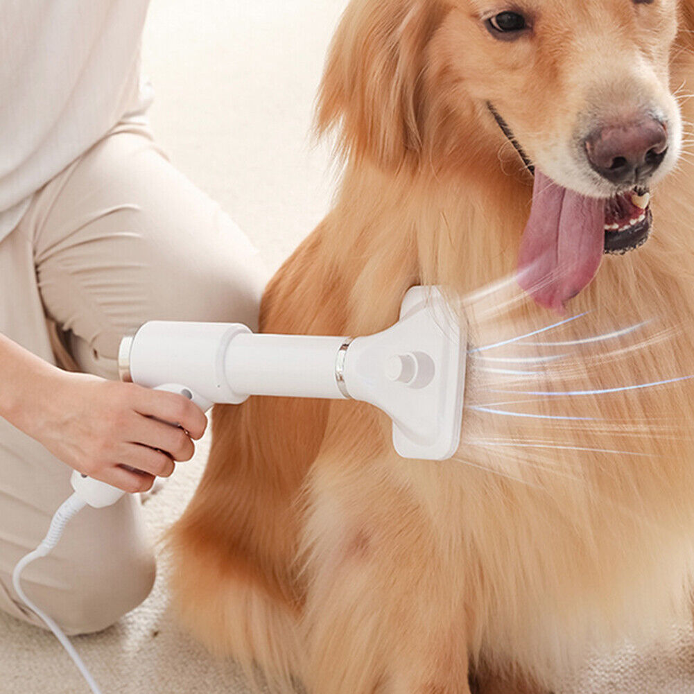 2-in-1 Dog Hair Dryer Low Noise Puppy Grooming Comb Brush Fur Blower (EU)