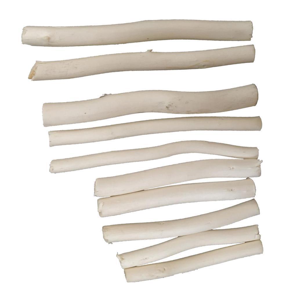 20 Pcs Natural Tree Branch Wood Sticks DIY Craft Vase Filler Photo Props