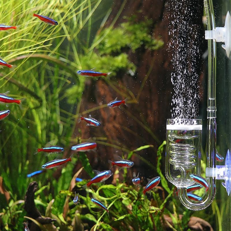Glass Fish Tank Aquarium Ceramic Disccapacitor Water Live Plant Aquarium CO2 Dif