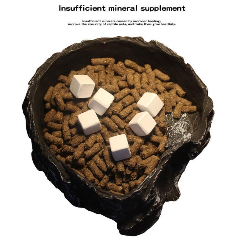Slow Release Calcium Blocks for Aquatic Turtle Insufficient Mineral Supplements