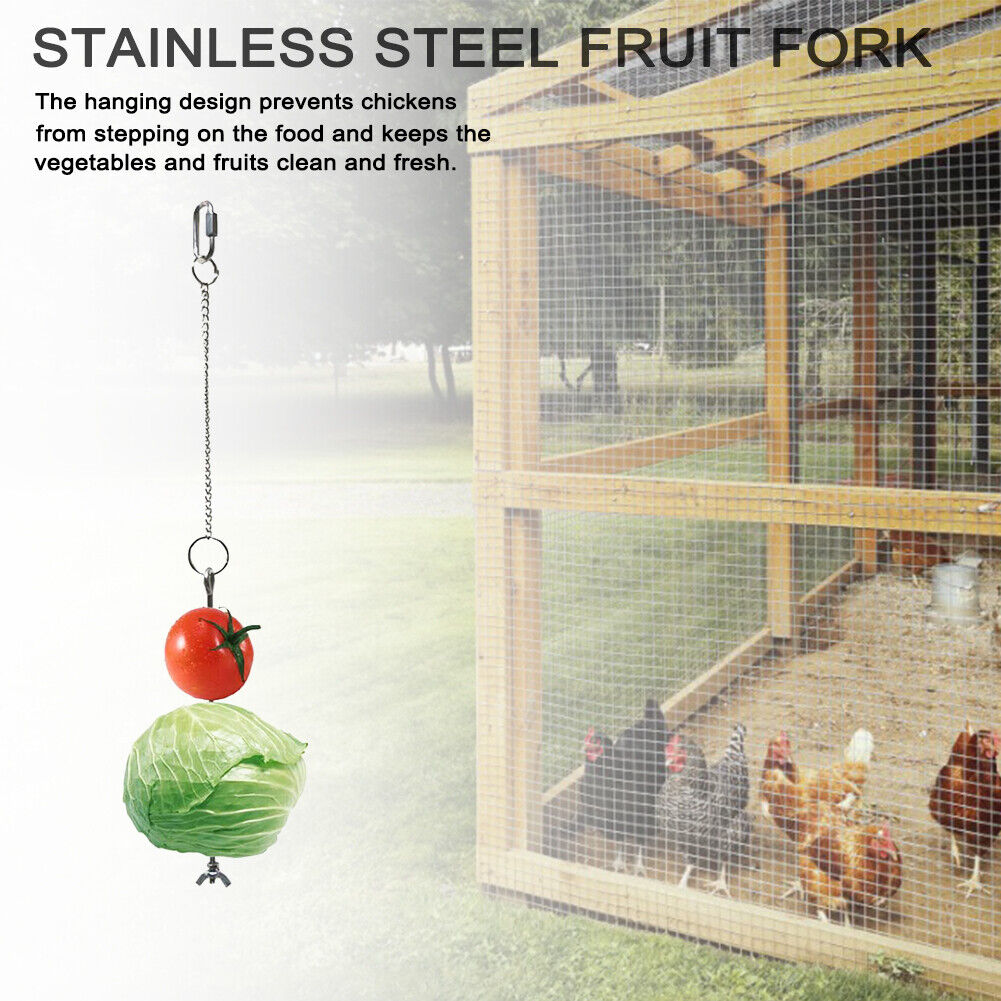 Pet Stainless Steel Feeder Fruit Fork Vegetable Holder Hanging Feeding (S)