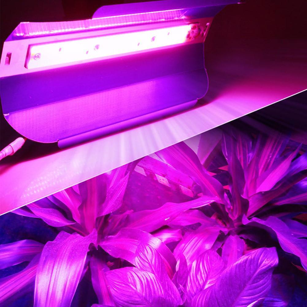 50W Full Spectrum IP67 Waterproof Plant Flower COB LED Grow Light(90-130V)