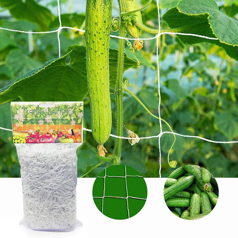 Garden Plant Climbing Net Polyester Grape Vine Grow Support Trellis Netting