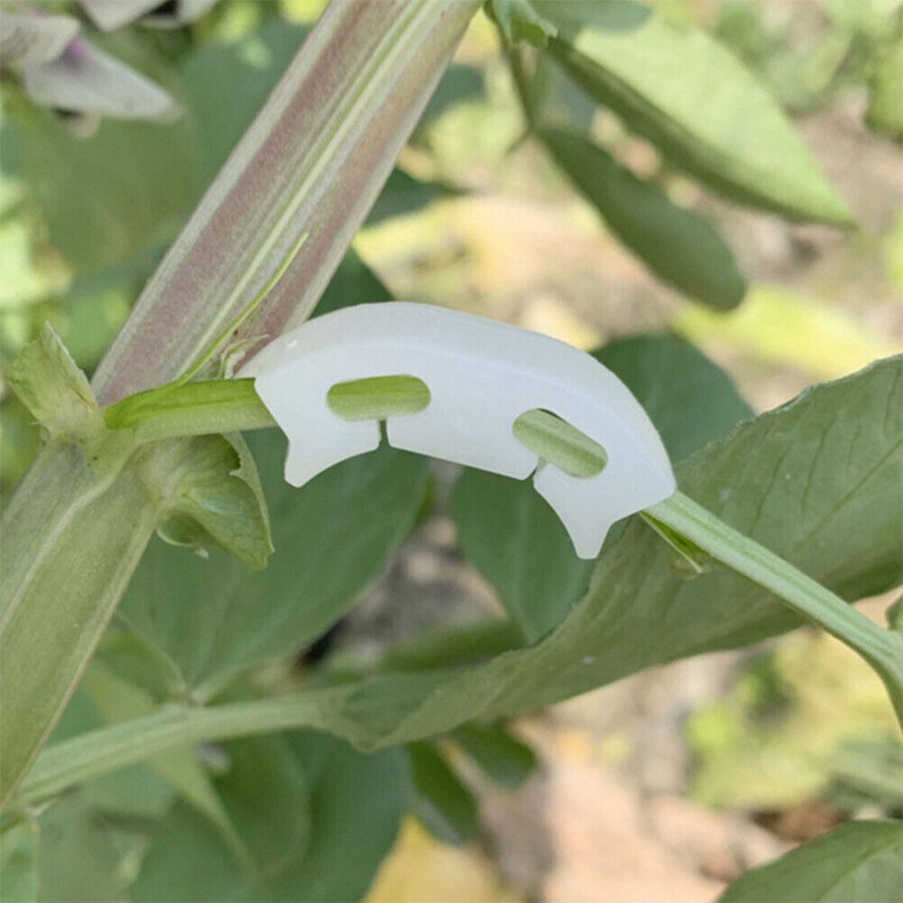 50pcs Tomato Grafting Fixing Clip Garden Fruit Seedling Reinforcement Clip