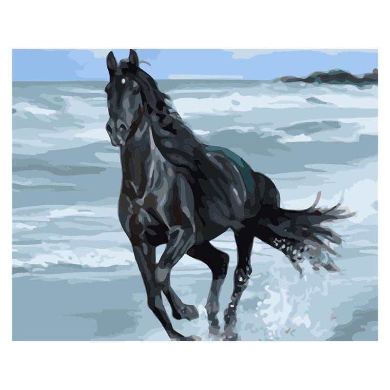 Beach Black Horse DIY Painting By Numbers Modern Wall Art Picture For Kids