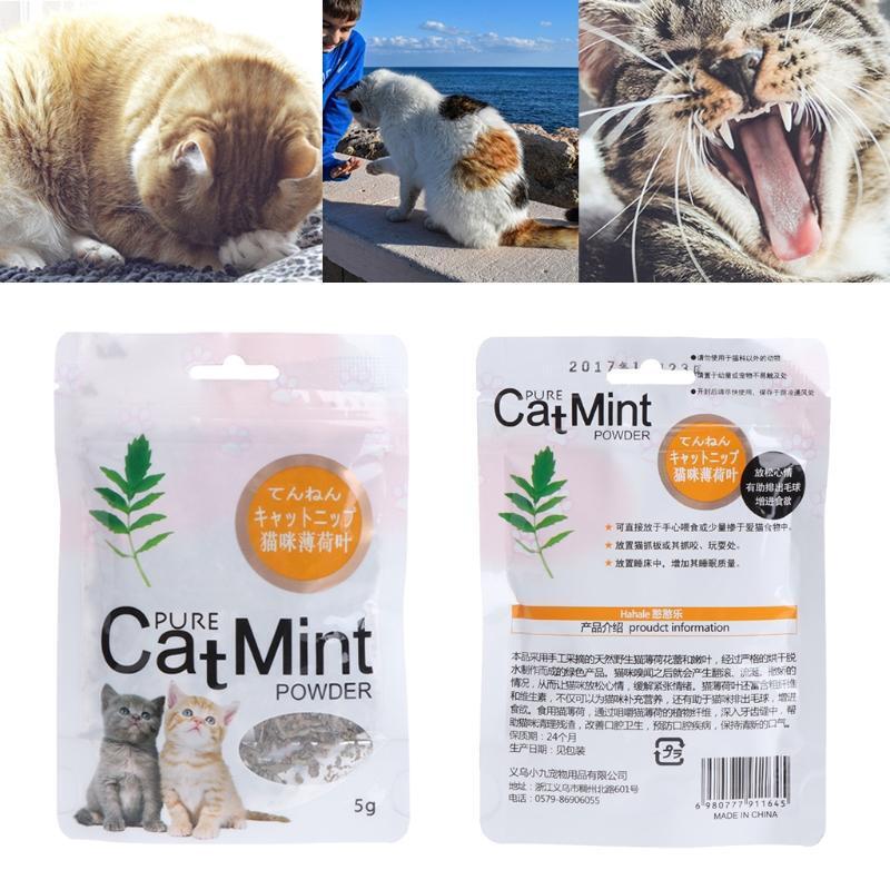 Pet Dental Care Mints Cat Mint Treats Cat for Home Pet Cat Dental Care 5g
