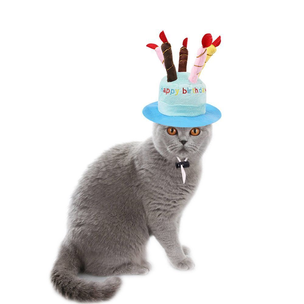 Birthday Party Costume Birthday Cake Beanies Hat Dog Cat Hat Headdress Pet Cap