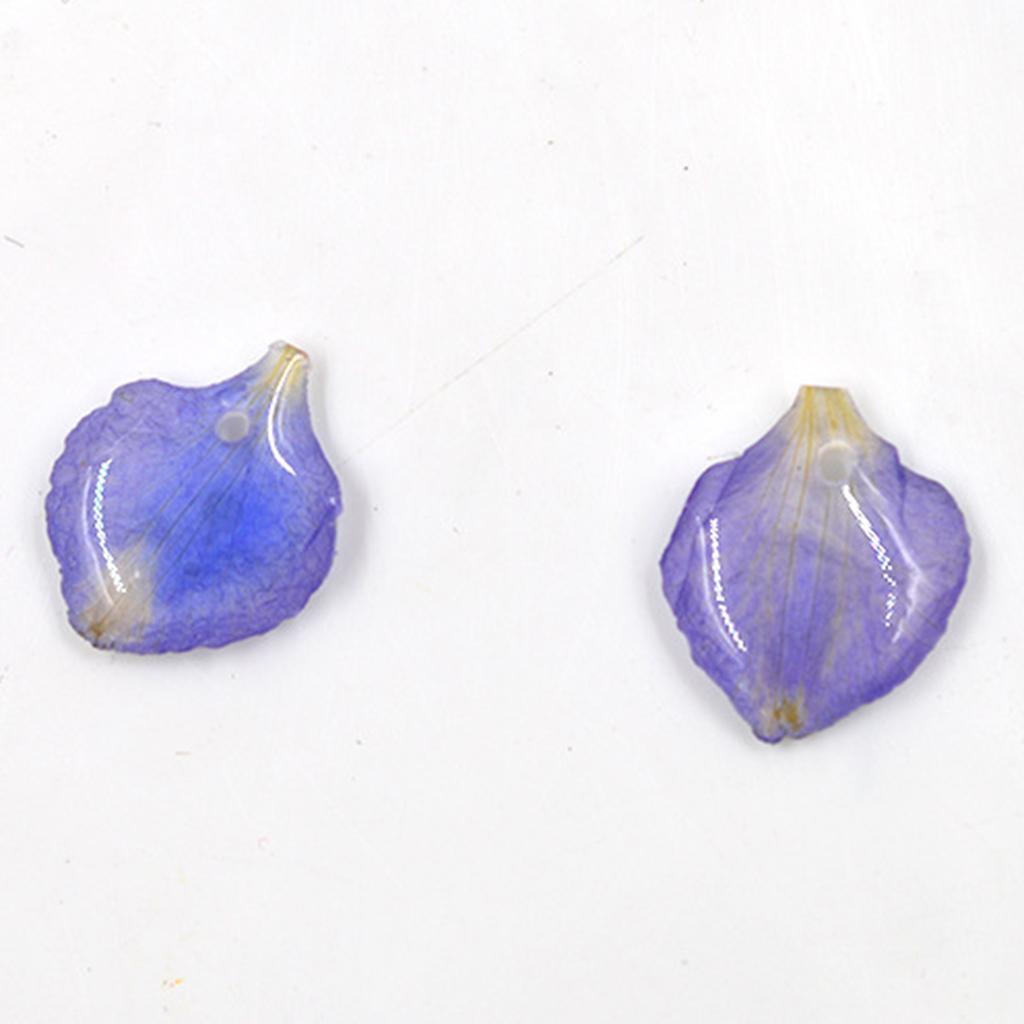 Set of 4   Dried Pressed Flowers Mixed  Crafts Making