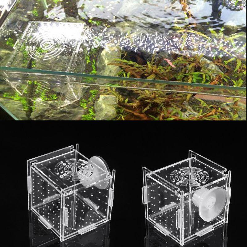 Aquarium Breeder Box Fish Tank Breeding Incubator Small Fish Hatchery 8x8x8cm