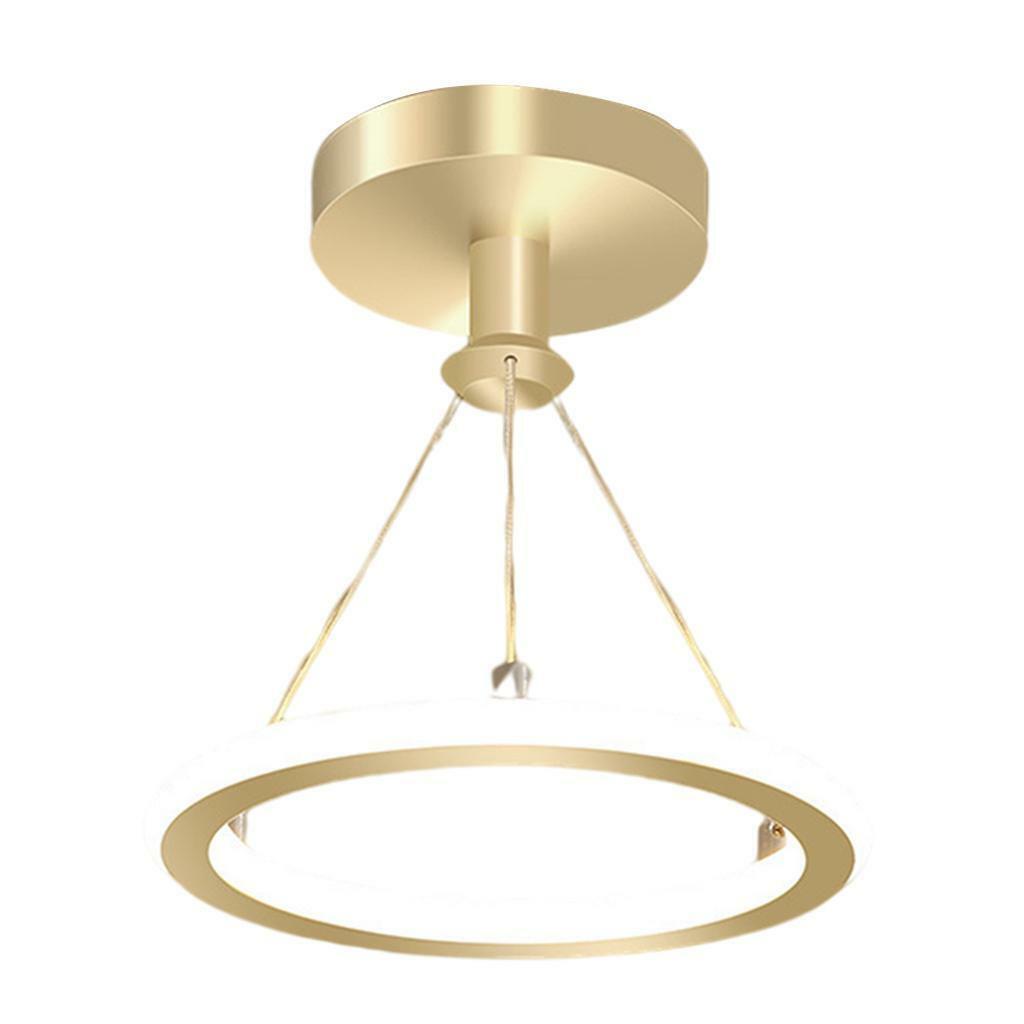 LED Ceiling Pendant Light Chandelier Lighting  Light