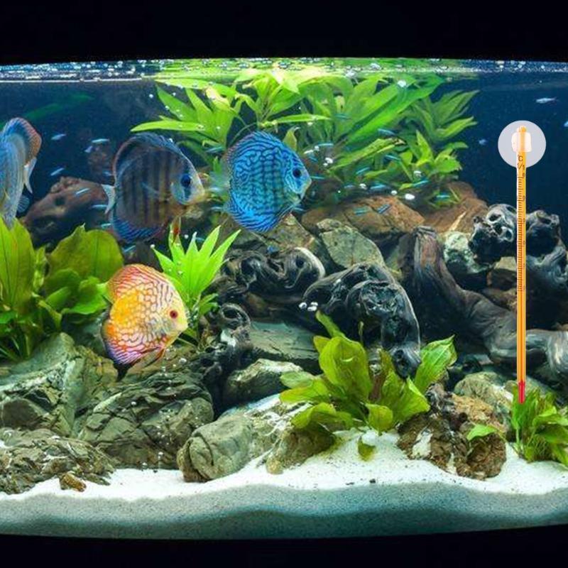 Aquarium Glass Thermometer With Sucker Fish Tank Reptile Box Accessory Supplies