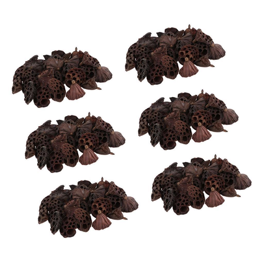 180pcs Natural Dried lotus pod Flowers Fruit for floral decor crafts DIY