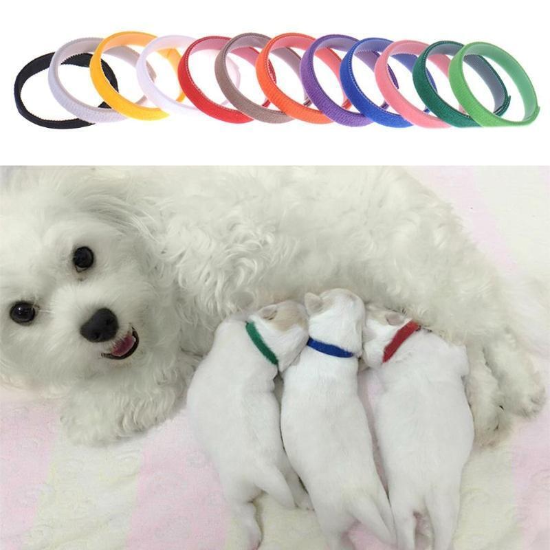 Puppy Whelping Collars Newborn Pet Collars 12 pcs Gift for Pet Owner Durable