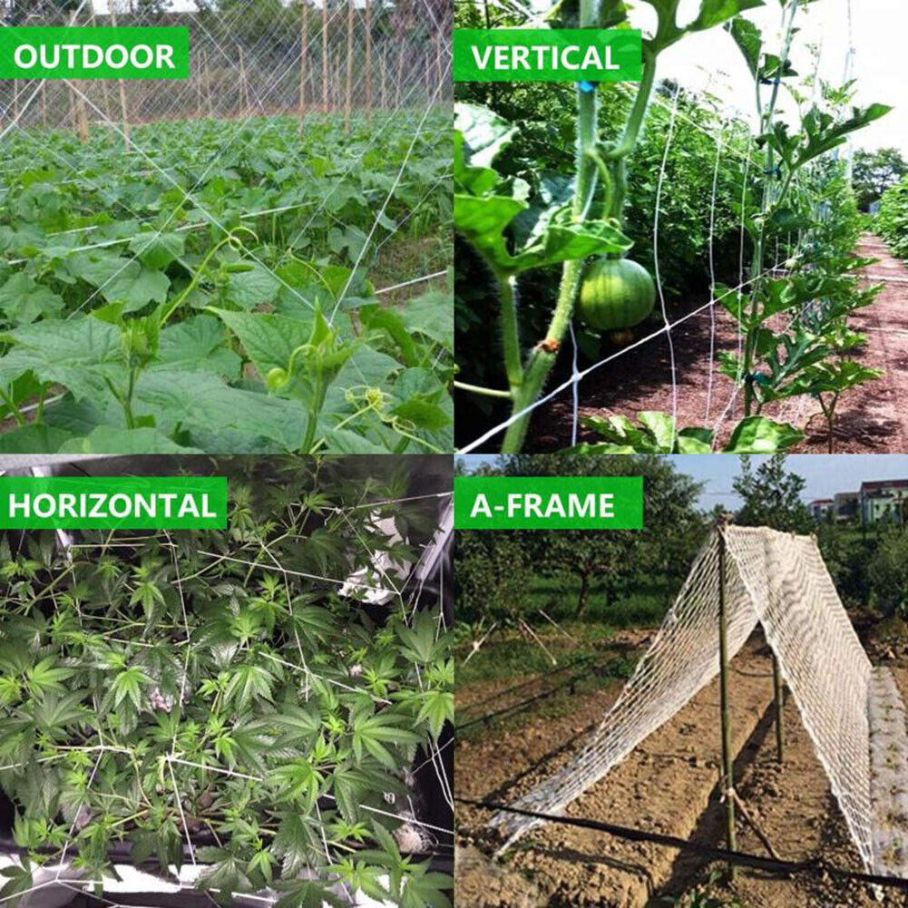 Garden Plant Climbing Net Polyester Grape Vine Grow Support Trellis Netting