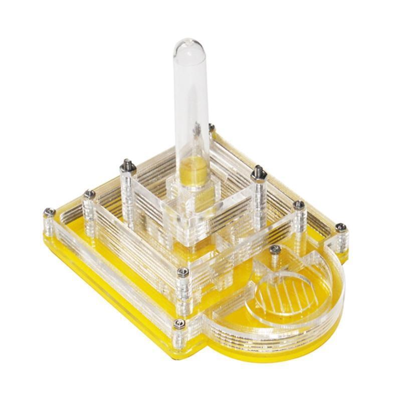 Ant Farm Ants Habitat Nest Water Tower Transparent Box to Observe Live Ants