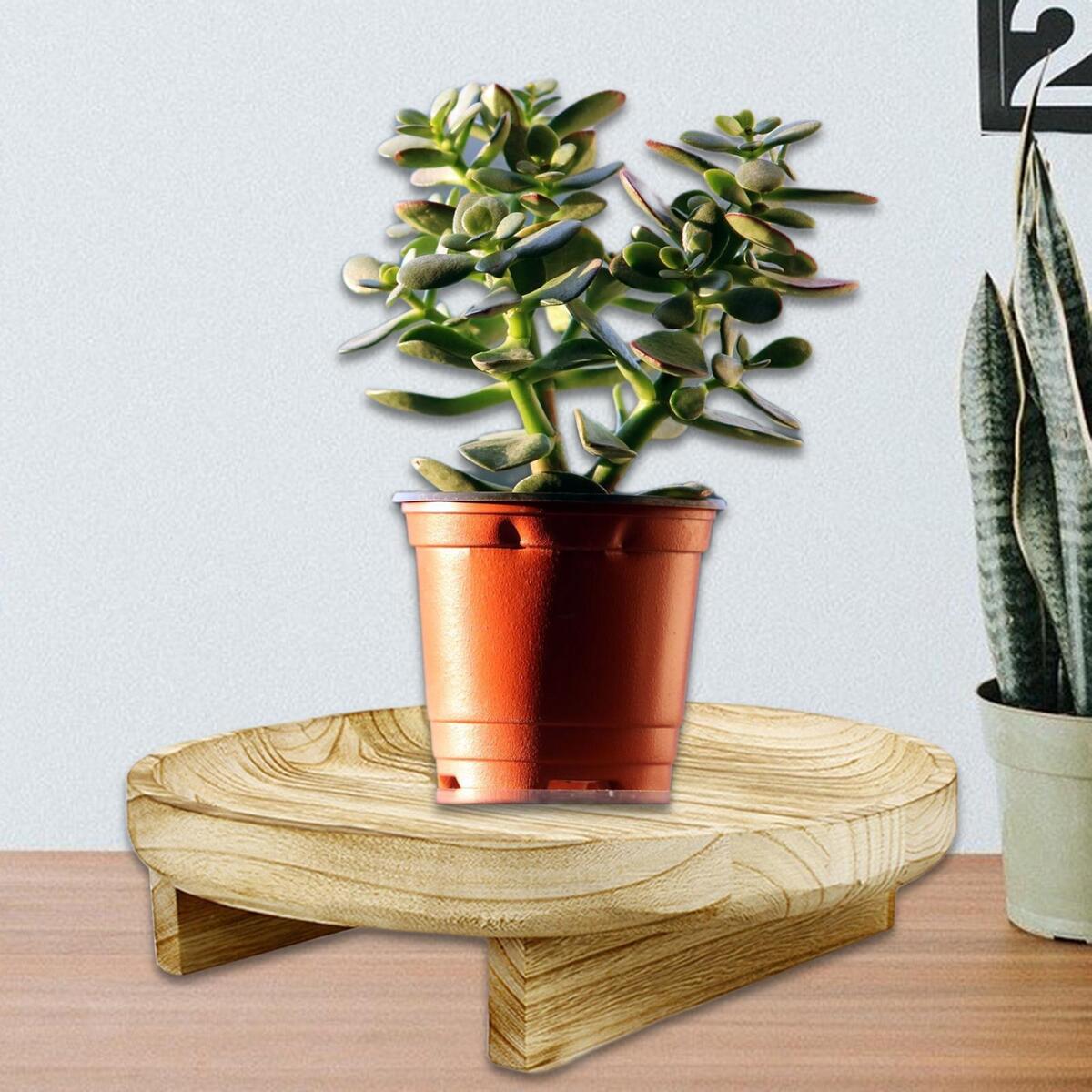 2x Wooden Plant Pot Riser for Porch Backyard Indoor Outdoor Flower Plant