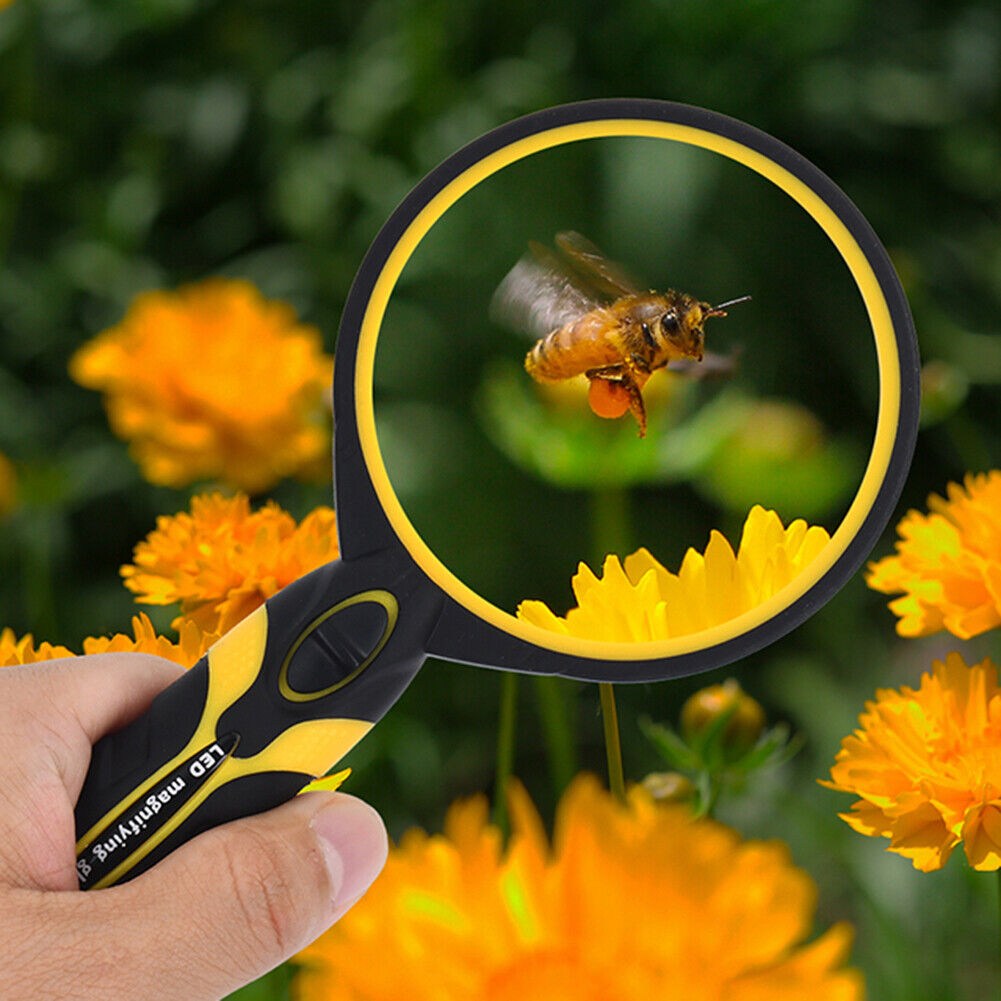 Handheld 5X Magnifier Magnifying Glass w/LED Loupe Handheld Reading Jewelry