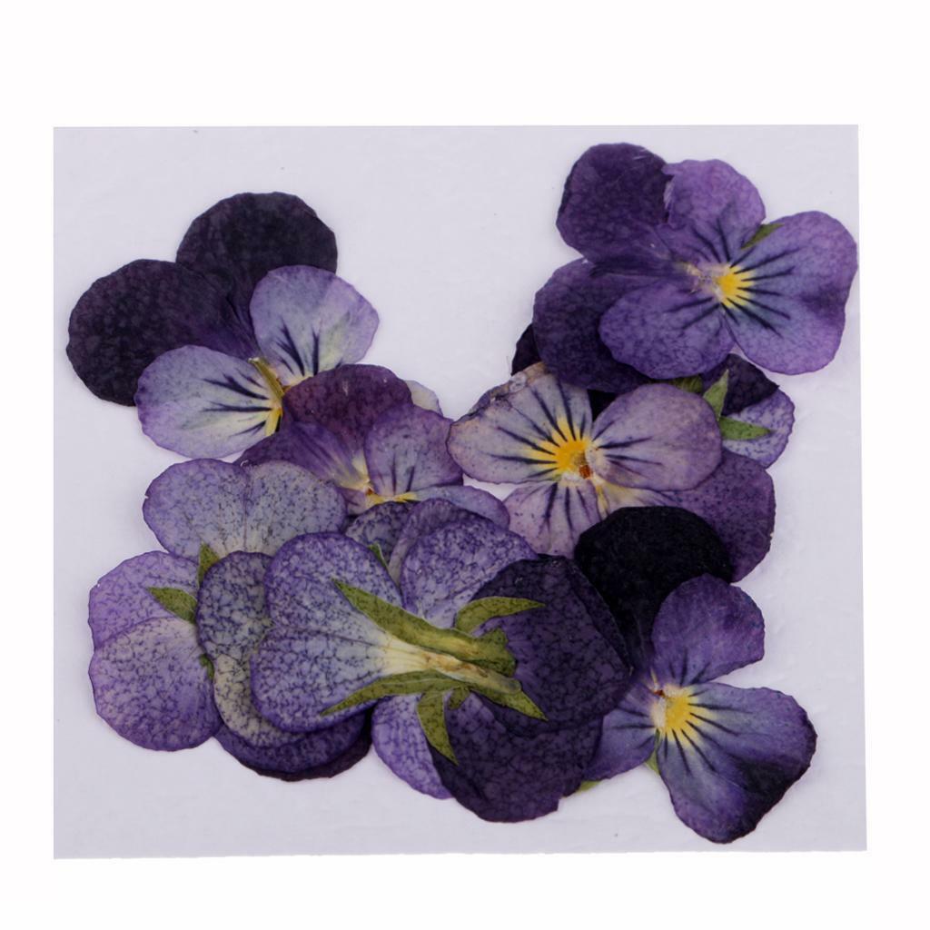 32pcs Pressed Dried Flowers for DIY Handmade Candle Jewelry