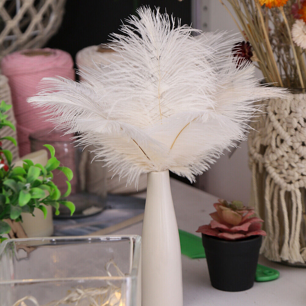 10pcs Fluffy Ostrich Feather Wedding Party Plumes Feather 15-30cm (White)