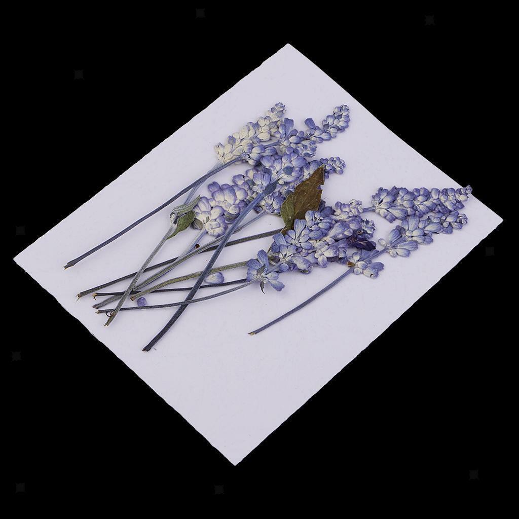 32pcs Pressed Dried Flowers for DIY Handmade Candle Jewelry