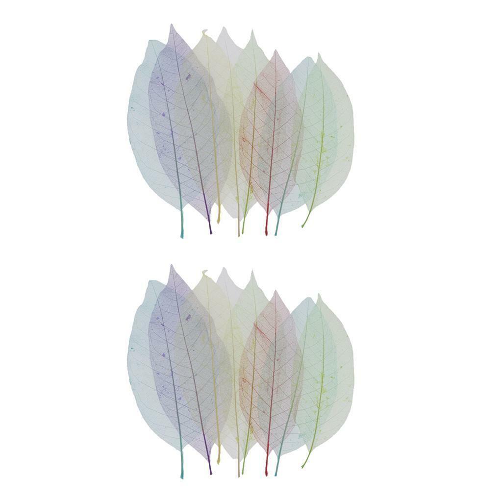 16pcs Mixed Dried Skeleton Leaves Cardmaking Bookmarks Earrings Photo Album