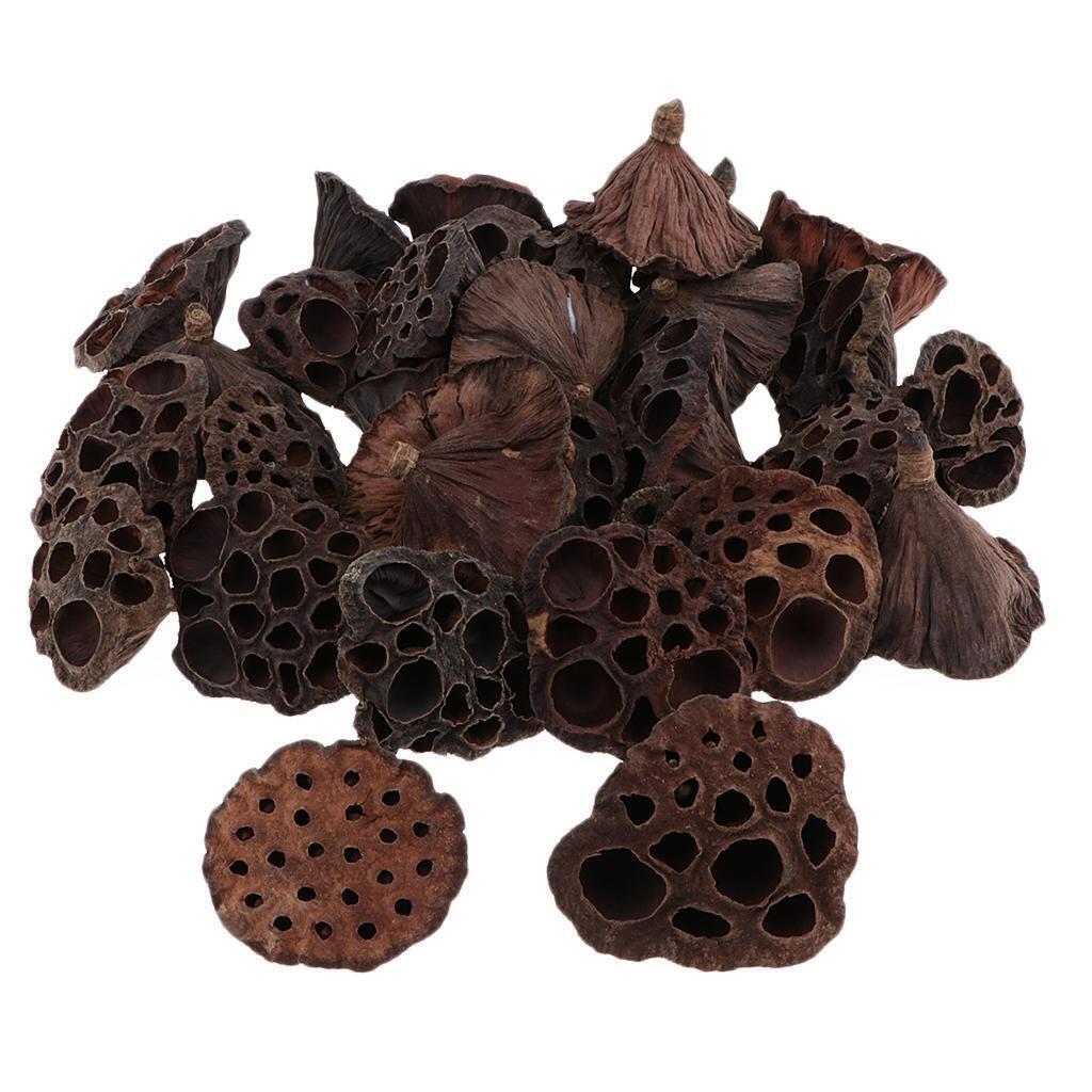 120pcs Natural Dried lotus pod Flowers Fruit for floral decor crafts DIY