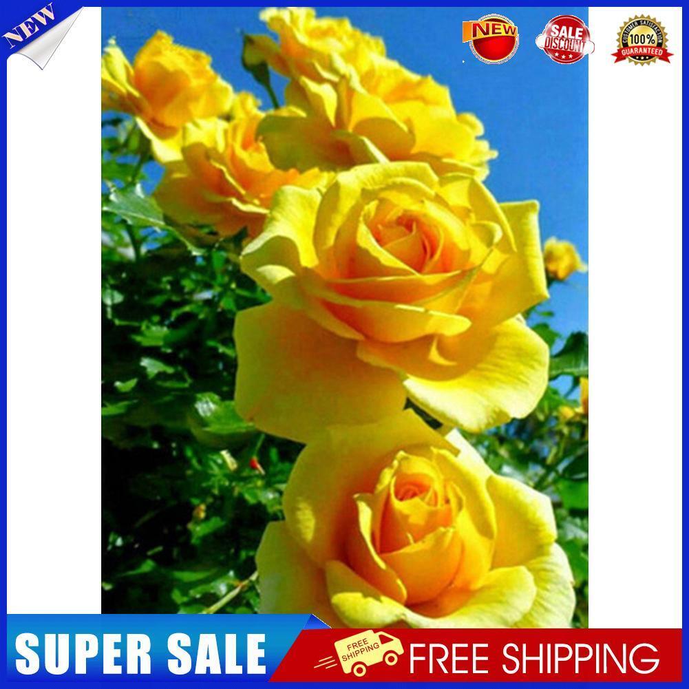 Yellow Rose Diamond Painting 5D DIY Full Round Drill Picture Rhinestone Kit