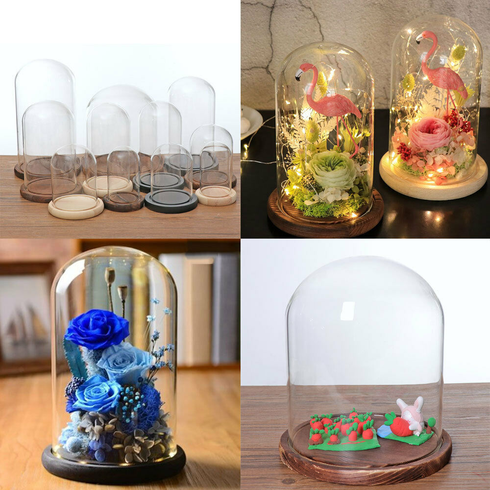 Dome Cloche with Wooden  Flower Landscape Holder  Brown - A