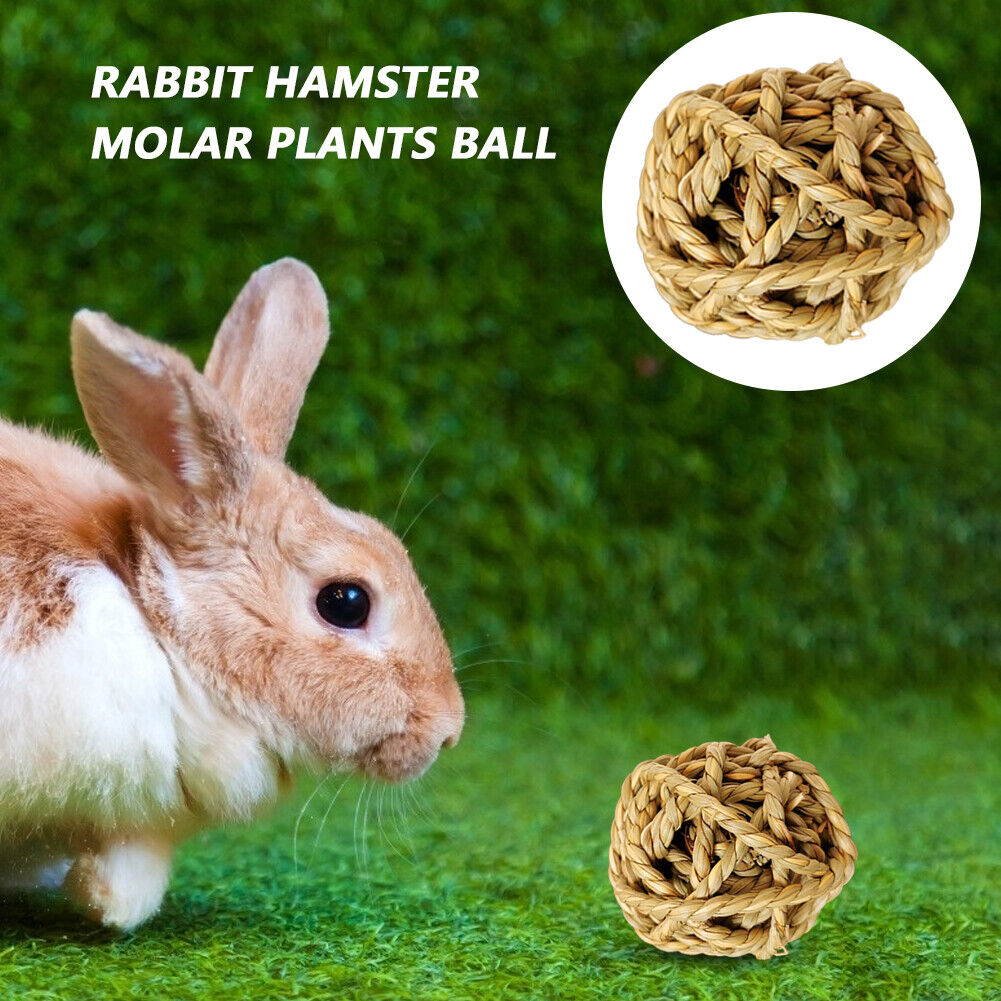 Hamster Rabbit Chewing Molar Grass Ball Small Animals Pet Tooth Clean Balls
