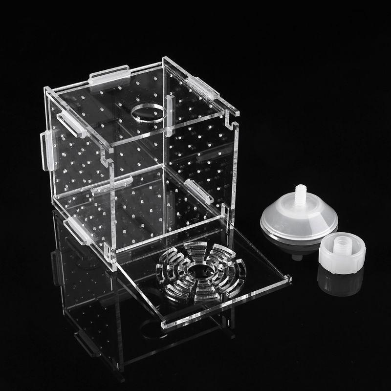 Aquarium Breeder Box Fish Tank Breeding Incubator Small Fish Hatchery 8x8x8cm