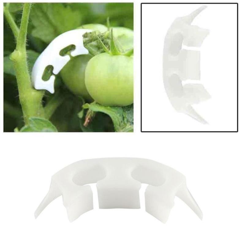 50 Pcs Plastic Fruit Vegetable Fixing Tools Durable Plants Support Clips Clamp