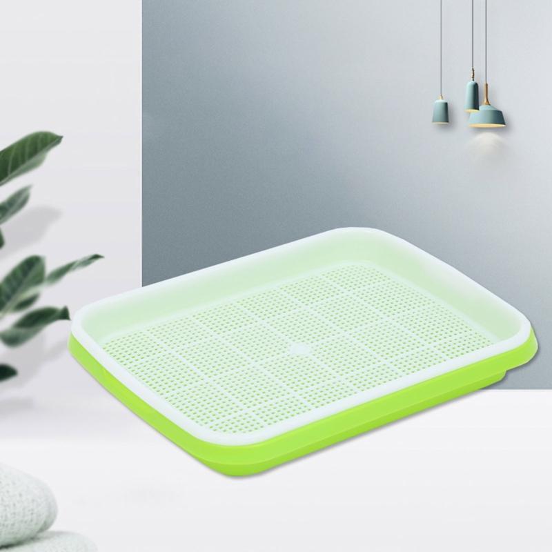 Seed Sprouter Trays Set of 5 Fresh Sprouts Vegetable Sprouting Seed Plate