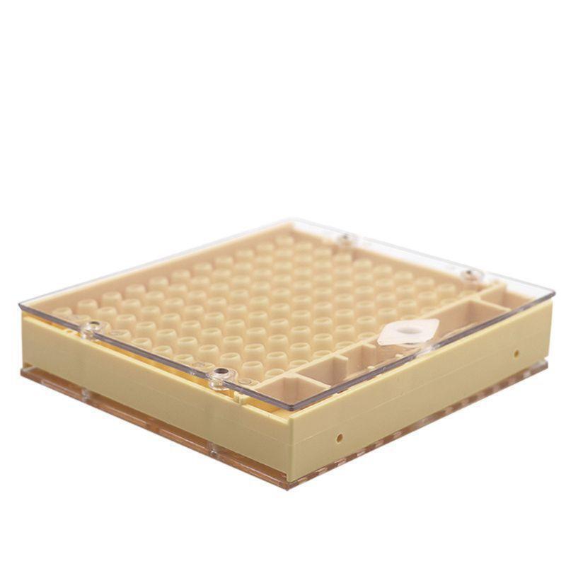 Complete Bee Queen Rearing Cup Kit System  Beekeeping Equipment Tools