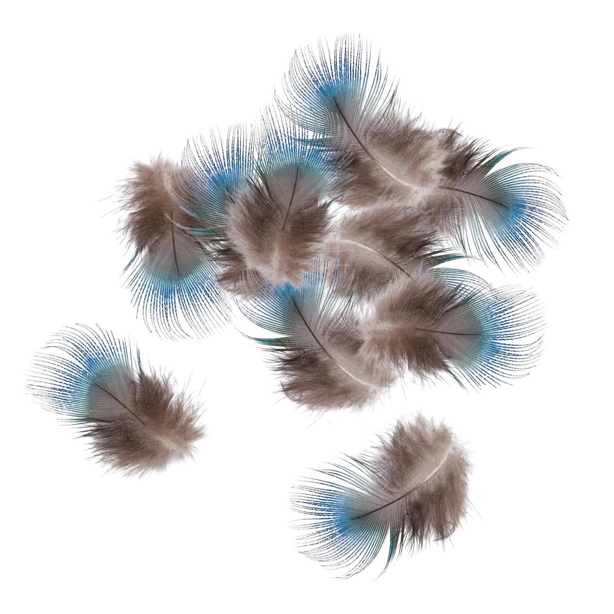 10x Blue Peacock Feathers DIY Headdress Craft Bulk Body Feathers for Show Vases