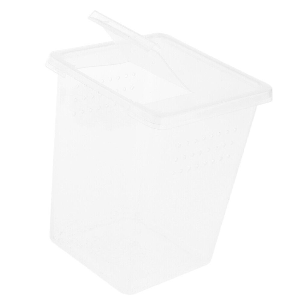 Plastic Insect Reptile Spider Habitat Feeding Box Container Case Hatching Tank
