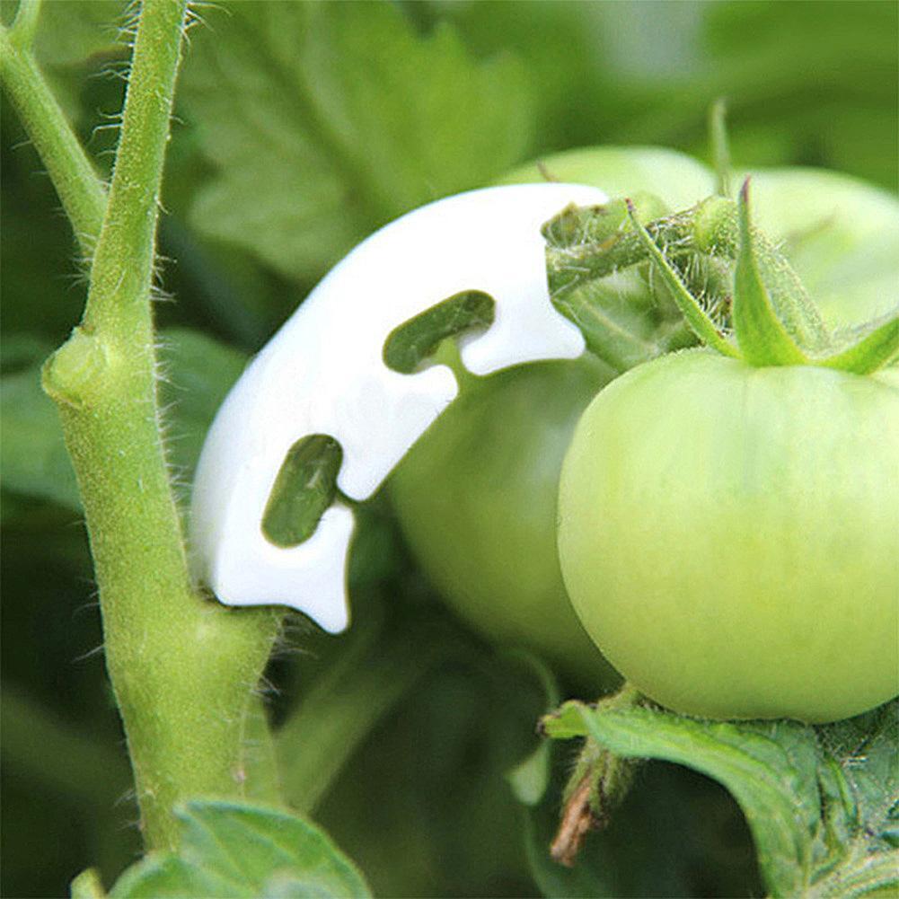 50pcs Tomato Grafting Fixing Clip Garden Fruit Seedling Reinforcement Clip