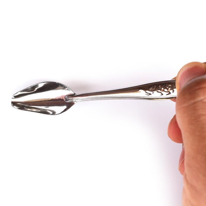 Parrot Feeding Spoon Stainless Steel Feed Scoop Animals Care Tool for Budgie