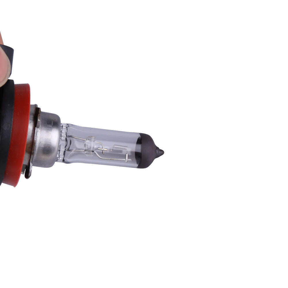 2x H11 Warm White Fog Halogen Bulb 55W Car Head Light Lamp 12V