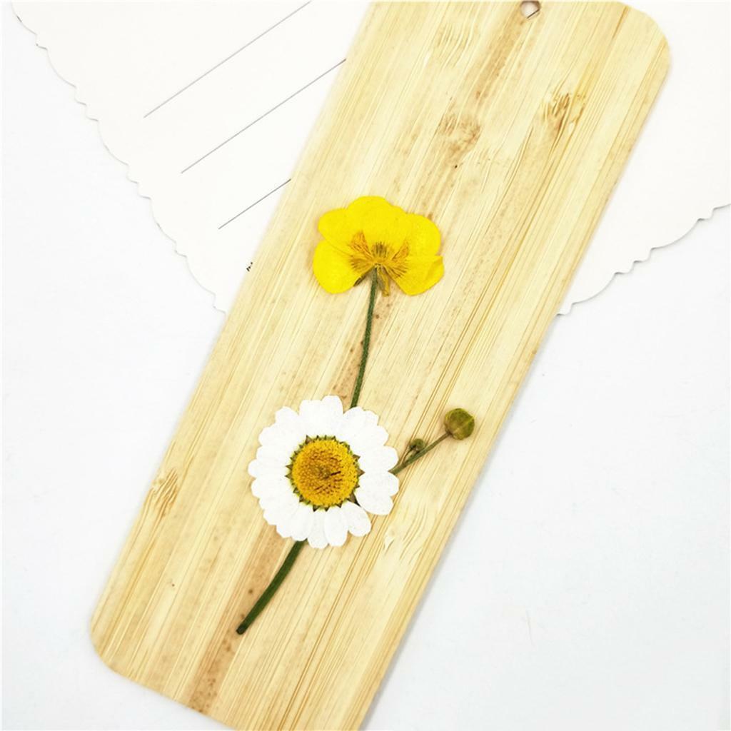 16x Natrual Dried Flowers Leaves  Art Jewelry  Phone