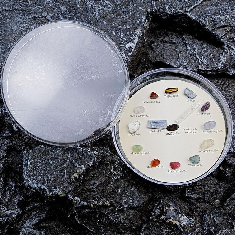 Exquisite Polished Natural Stones Geological Teaching Props for Teacher Student
