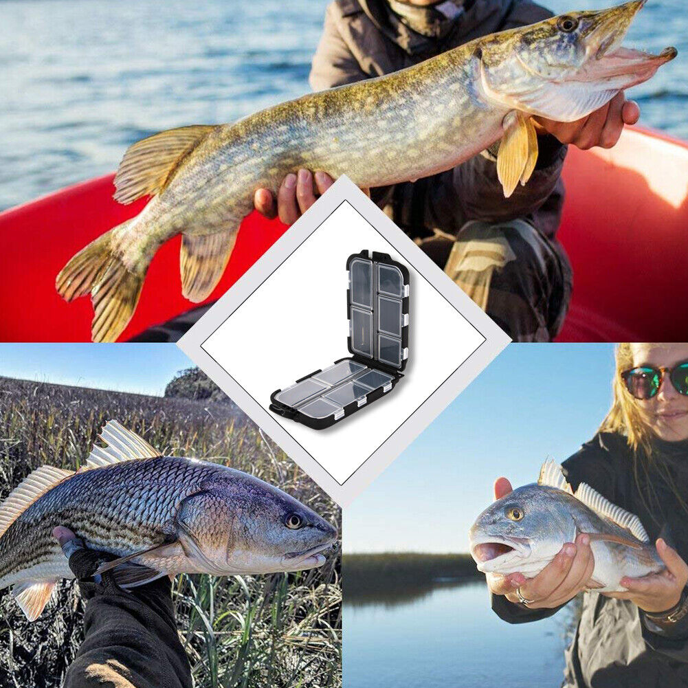 Fishing Lure Boxes Bait Storage Case Fishing Tackle Hook Trays Organizers