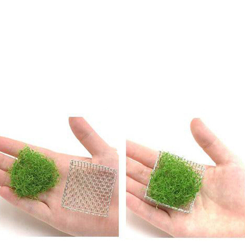 20 Pcs Stainless Steel Decorative Aquatic   for Aquarium Plants