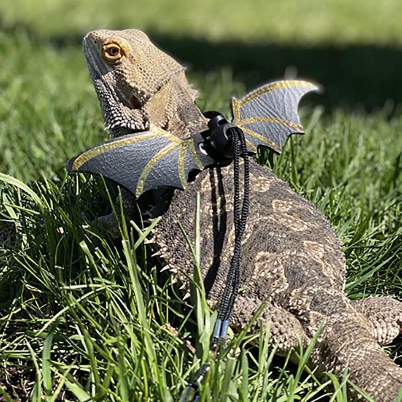 Adjustable Bearded Dragon Harness Lizard Leash with Cool PU Leather Wing