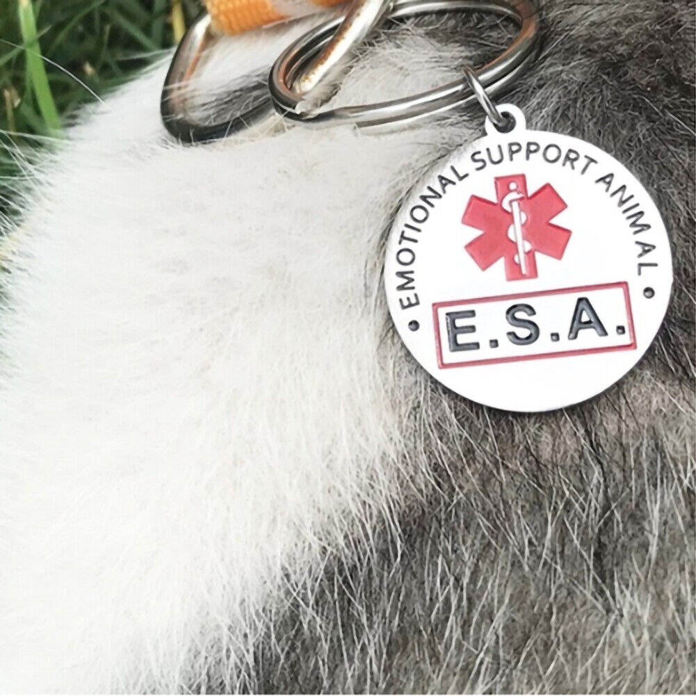 ESA Stainless Steel Dog Tag Emotional Support Pet Necklace Collar Keychain
