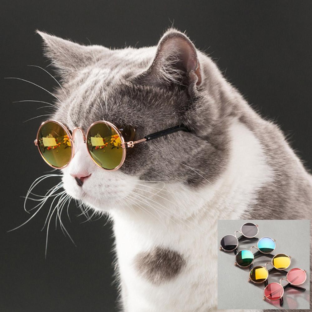 Fashion Pet Glasses for Small Dogs Puppy Cat Sunglasses Photos Props Decor