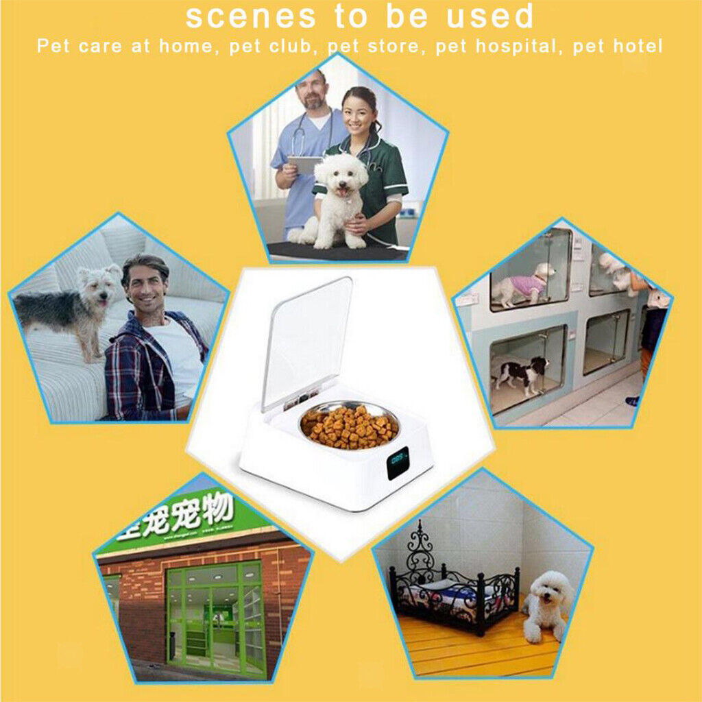 350ml  Automatic   Sensor Food Dispenser Pet Feeder