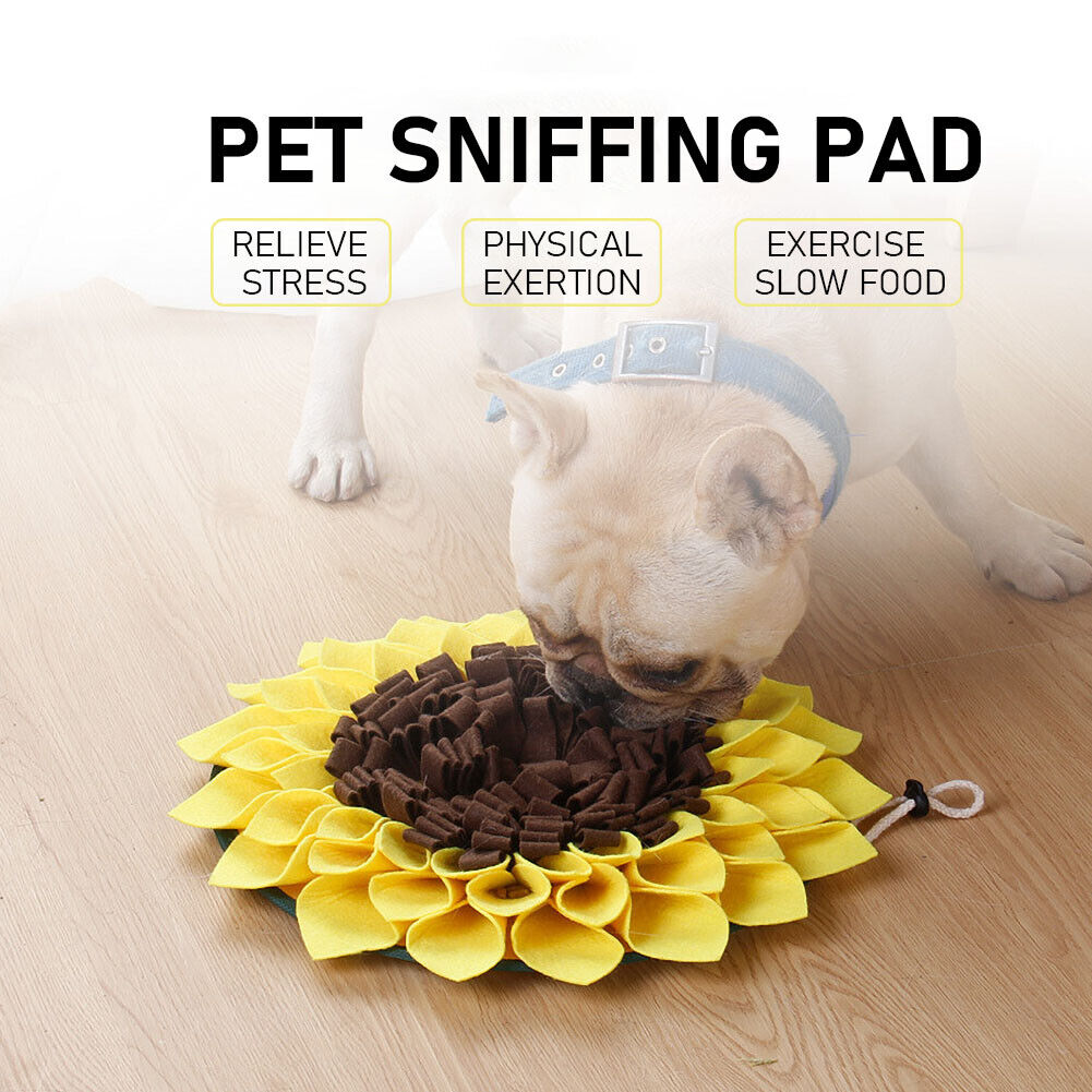 Pet Dog Snuffle Sunflower Mat Nose Smell Training Sniffing Pad Feeding Bowl