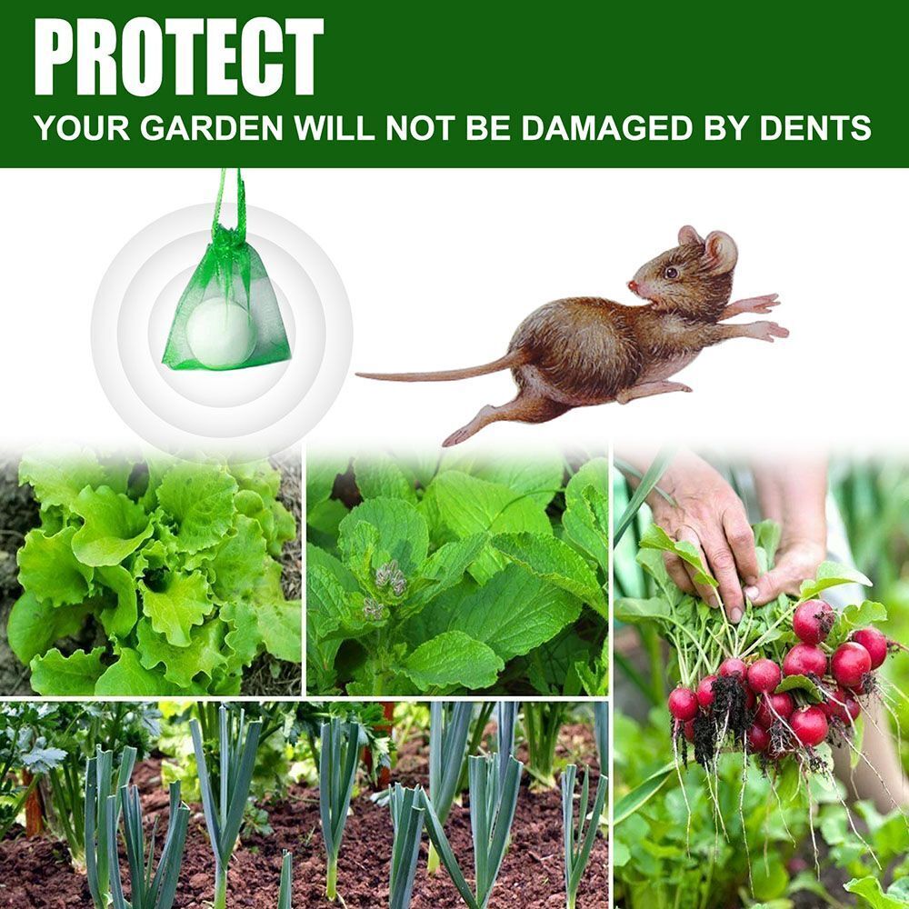 Safe Protection Mice Repeller Keep Mice Out Peppermint Oil Mouse Repeller